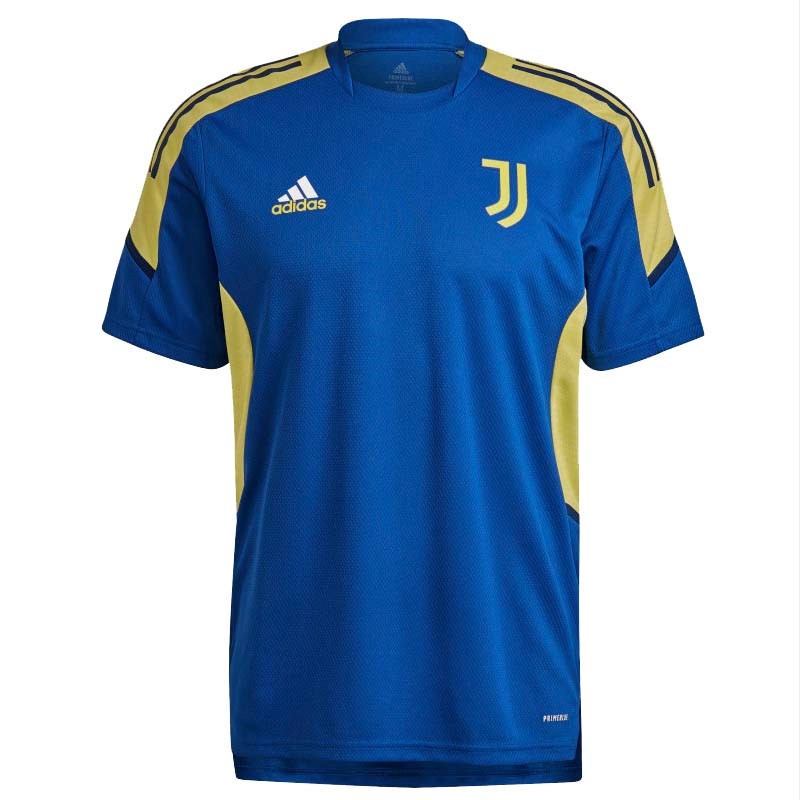 Authentic Camiseta Training Juventus 2021-2022 Azul